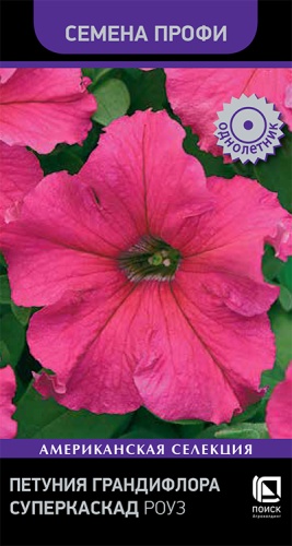 petunia_grandiflora_superkaskad_rouz