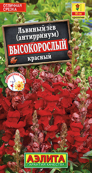 вкр (1)