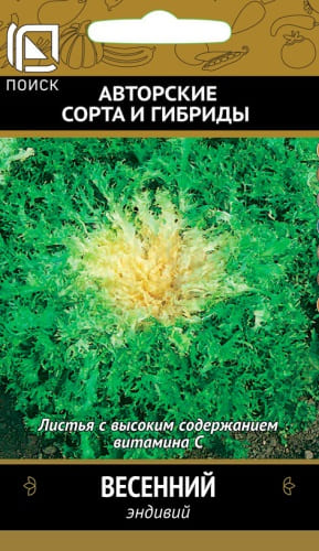 endivy_vesenny (1)