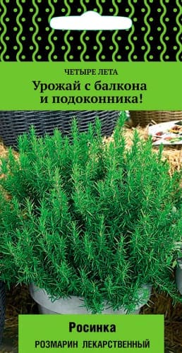 rozmarin_lekar_rosinka (1) (1)