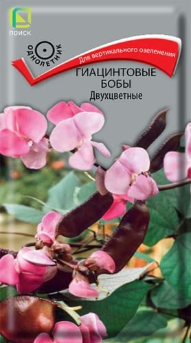 giatsintovye_boby_dvuhtsvetnye (1)