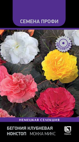 begonia_klubnevaya_nonstop_mokka_mix