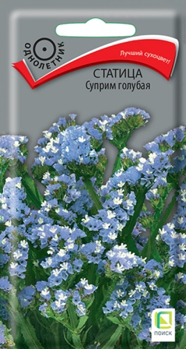statica_suprim_golubaya