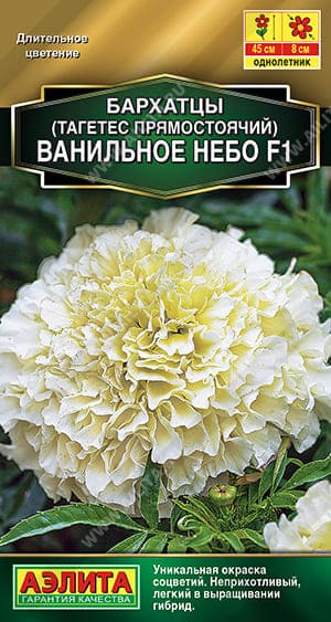 вн (1) (1)