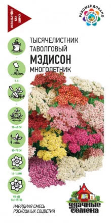Тысячелистник Мэдисон смесь