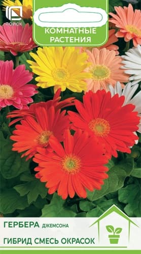 gerbera_dzhemsona_gibrid_smes_okrasok (1)