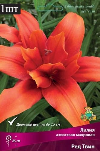 image (47)