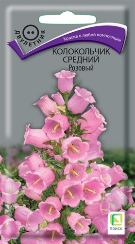 kolokolchik_sredniy_rozoviy