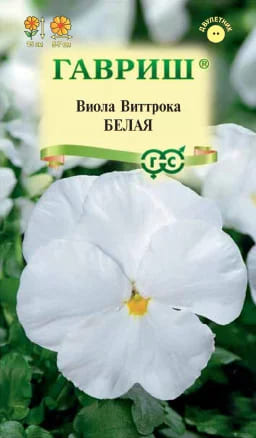 Виола Виттрока Белая