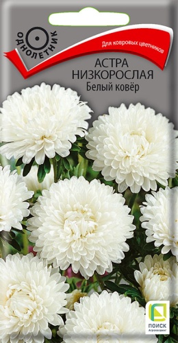 astra_nizkoroslaya_bely_kover