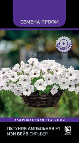 petuniya_ampelnaya_f1_izi_veyv_silver