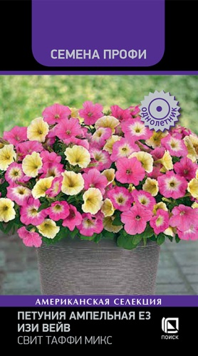 petunia_ampelnaya_E3_easy_wave_sweet_taffy_mix