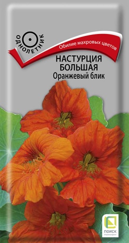 nastrucia_bolshaya_orange_blik