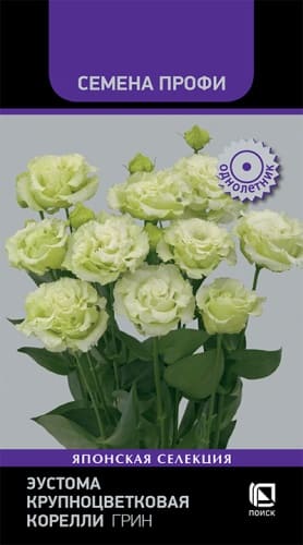 eustoma_krupnotsvetkovaya_korelli_grin (1)