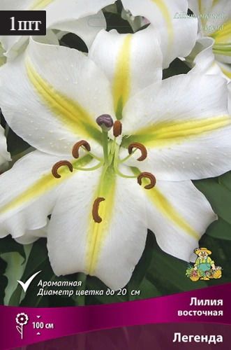 image (15)