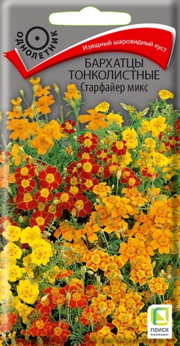barhatsy_tonkolist_startfire_mix