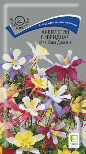 akvilegia_gibrid_mac_canna_giant