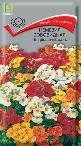 nemezia_zobovid_pobednaya_pesn_smes (1) nemezia_zobovid_pobednaya_pesn_smes (1)