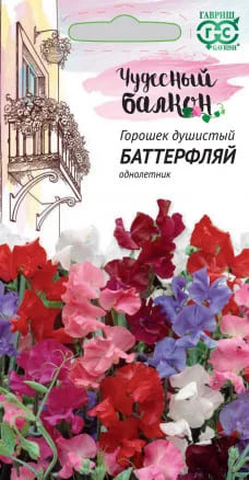 Душистый горошек Баттерфляй