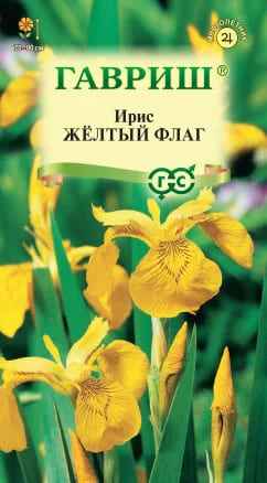 Ирис Желтый фла