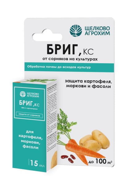 brig_ks