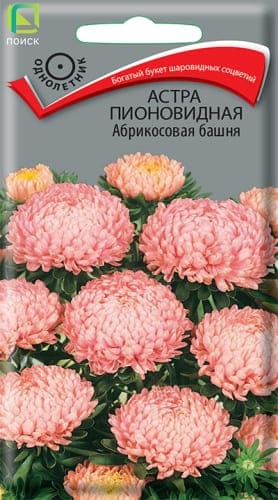 astra_pion_abrikosovaya_bashnya (1) (1)