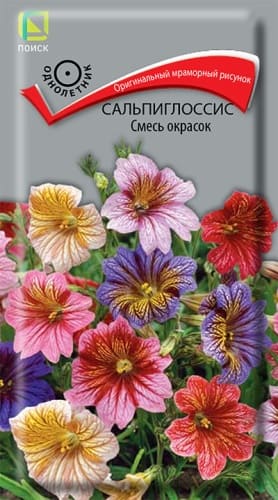 salpiglossis_smes_okrasok (1)