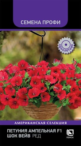 petuniya_ampelnaya_f1_shok_veyv_red (1)