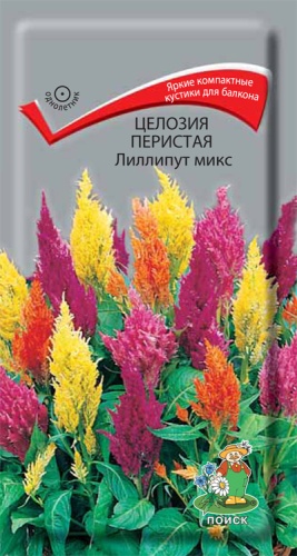 cellozia_peristaya_lilliput_mix
