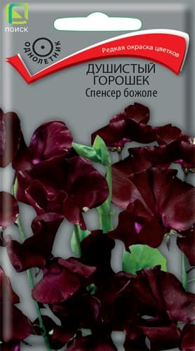 dushisty_goroshek_spenser_bozhole (1)