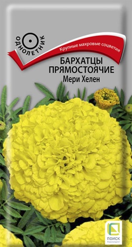 barhatsy_pryamost_mary_helen