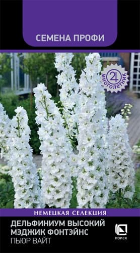 delfinium_visoky_magic_fontains_pure_white (1)