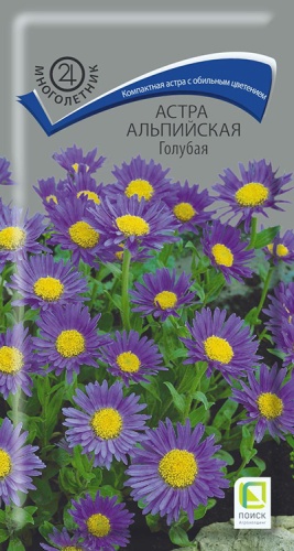 astra_alp_golubaya