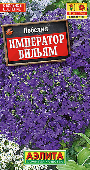 импер (1)