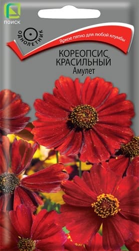 koreopsis_krasilny_amulet (1)