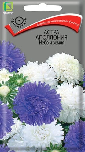 astra_apolon_nebo_i_zemlya (1)