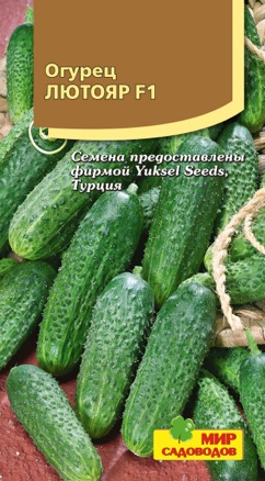 Огурец Лютояр