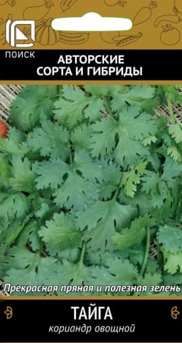 koriandr_ovoshnoy_taiga (1)