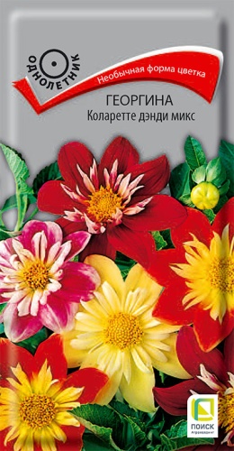 georgina_kolarette_dendi_mix