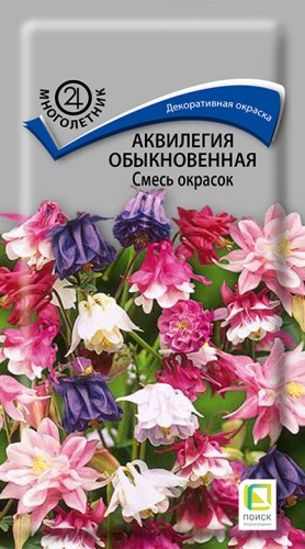 akvilegia_obyknov_smes_okrasok