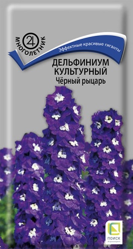 delfinium_kulrtur_cherny_ricar