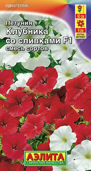 Клубника со сливками (1)