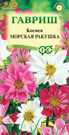 Космея Морская ракушка