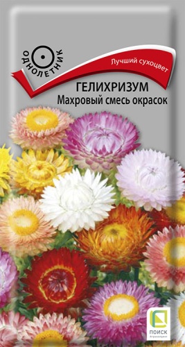 gelihrizum_mahrovy_smes_okrasok