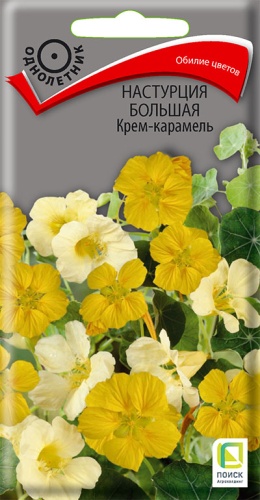 nastrucia_bolshaya_krem_karamel