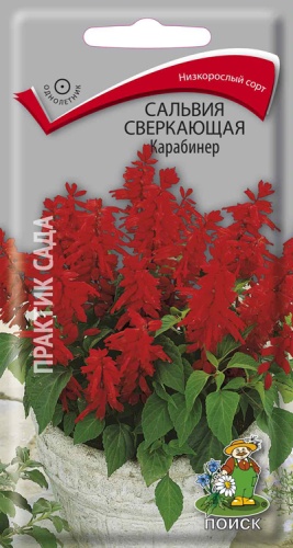 salvia_sverk_karabiner