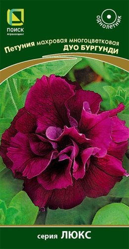 petunia_mahrov_mnogocvet_duo_burgundi