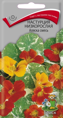 nastrucia_nizkorosl_alyaska_smes