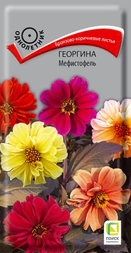 georgina_mefistofel