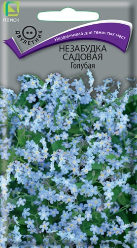 nezabudka_sad_golubaya (1)